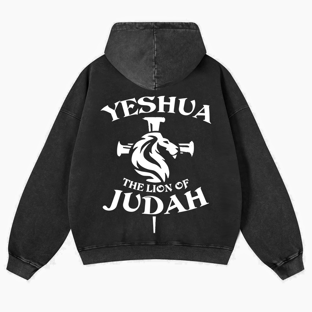 Yeshua Washed Hoodie wearishow