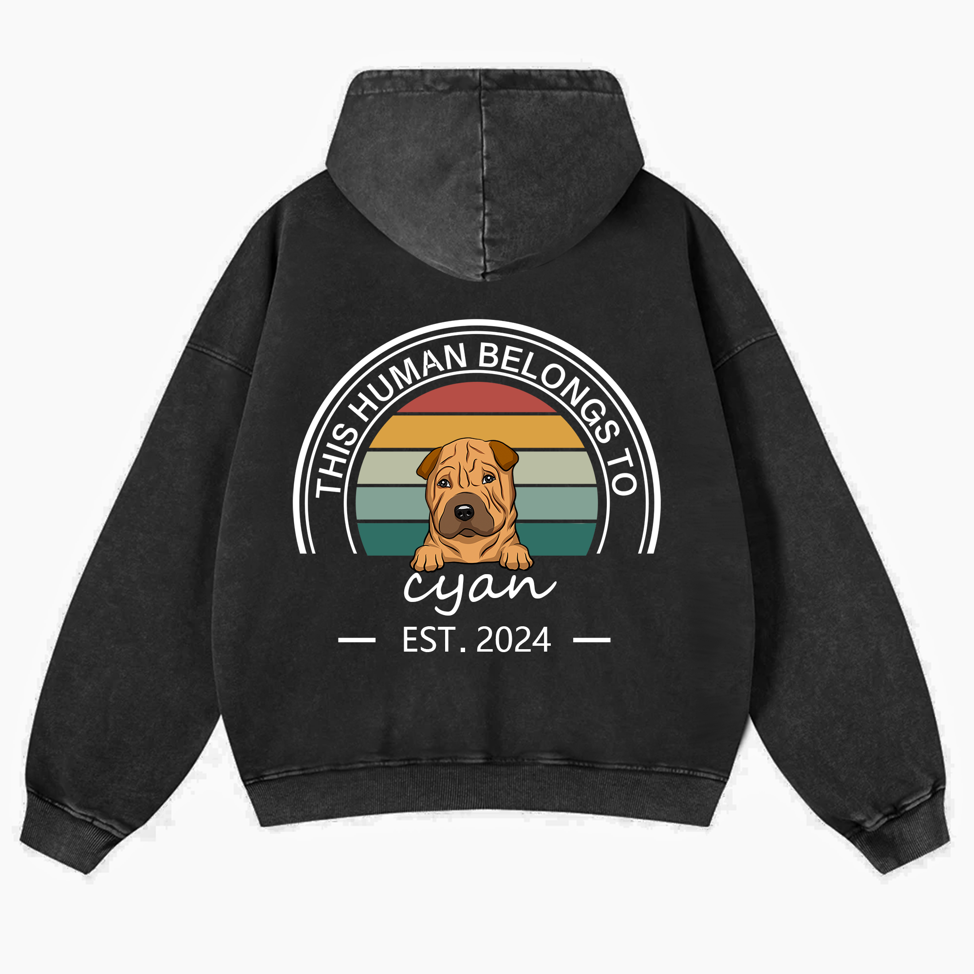 This Human Belongs To 3 - Personalized Custom Unisex Washed Hoodie