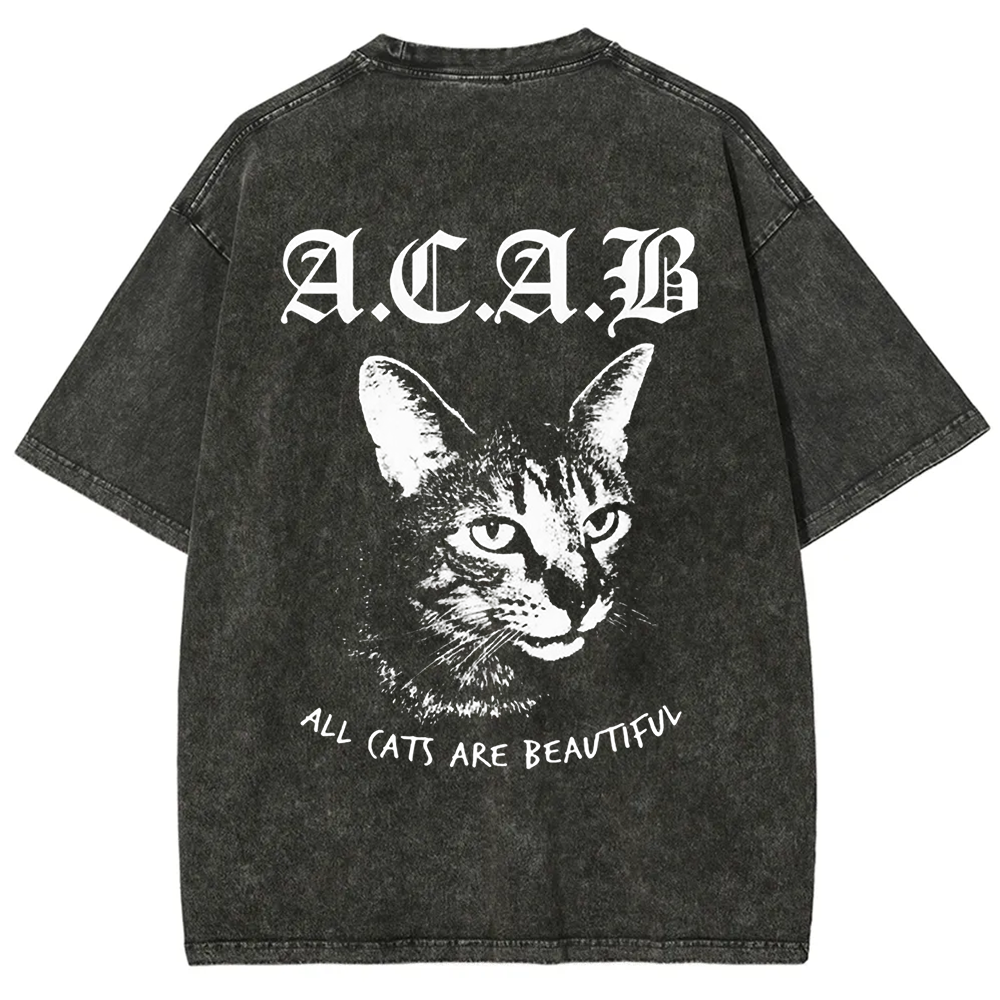 Unisex Vintage  All Cats Are Beautiful Song Music t-Shirt