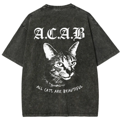 Unisex Vintage  All Cats Are Beautiful Song Music t-Shirt