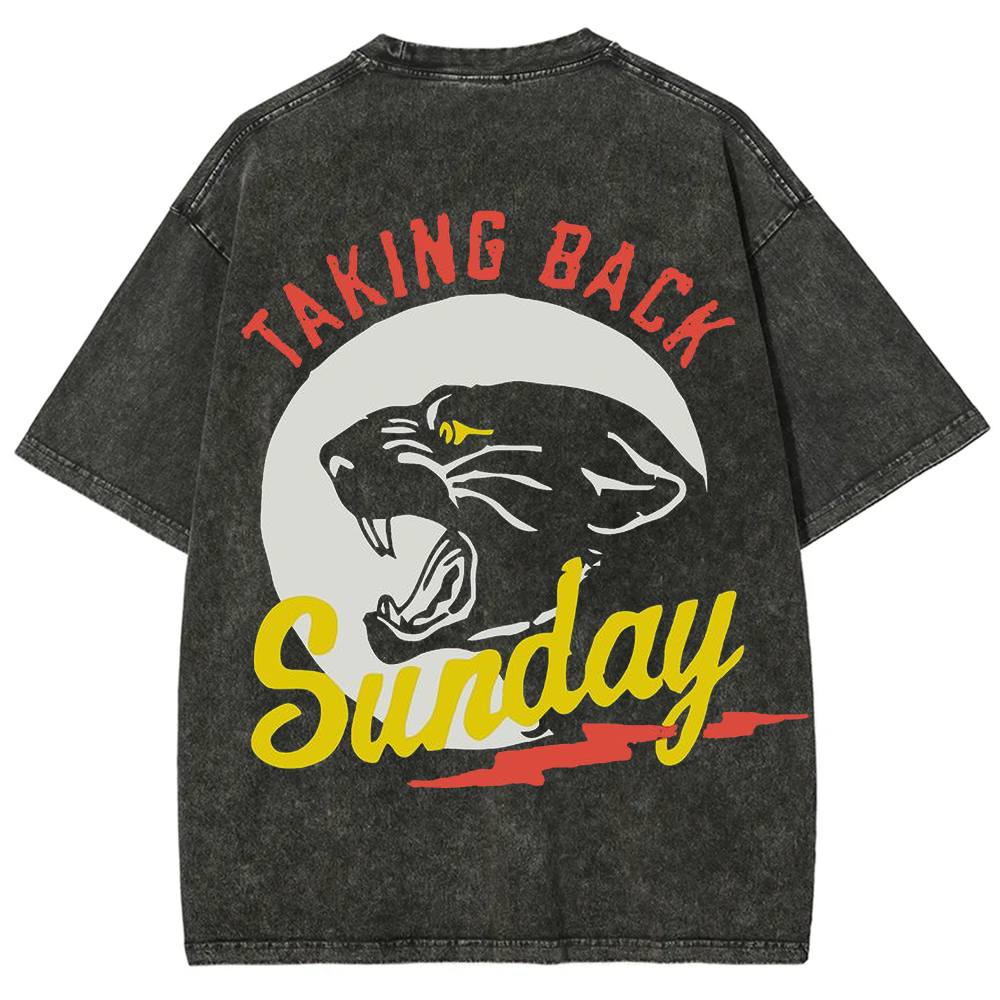 Unisex Vintage Washed Taking Back Sunday Band T-shirt