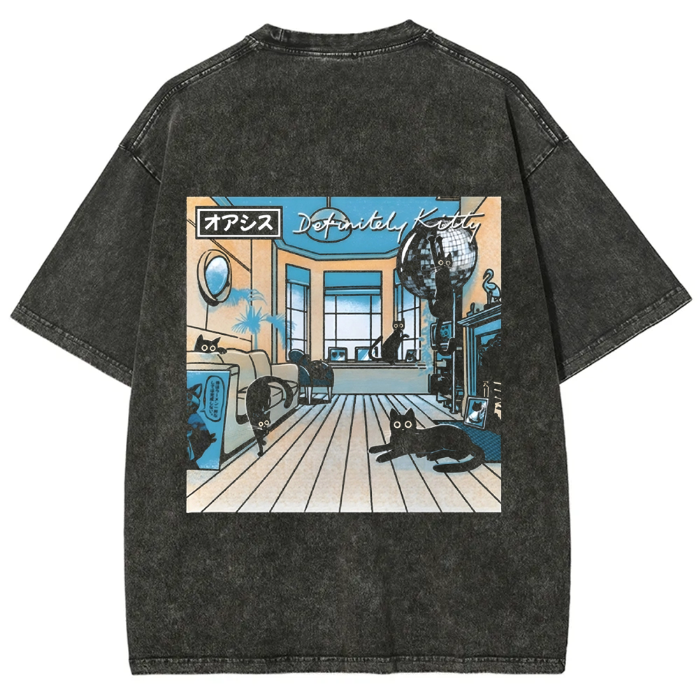 Unisex Vintage Washed Definitely Kitty t-Shirt