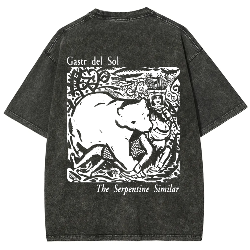 Unisex Vintage  Gastr del Sol Band  t-Shirt