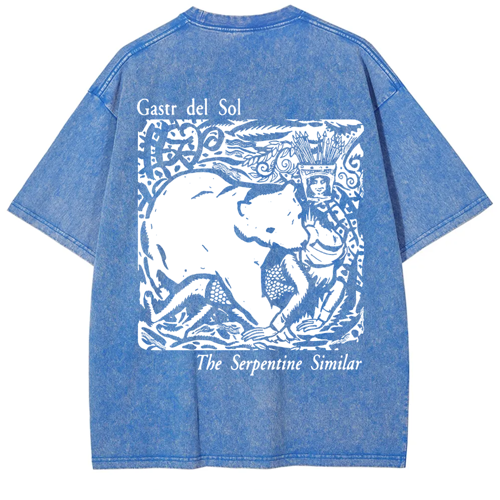 Unisex Vintage  Gastr del Sol Band  t-Shirt