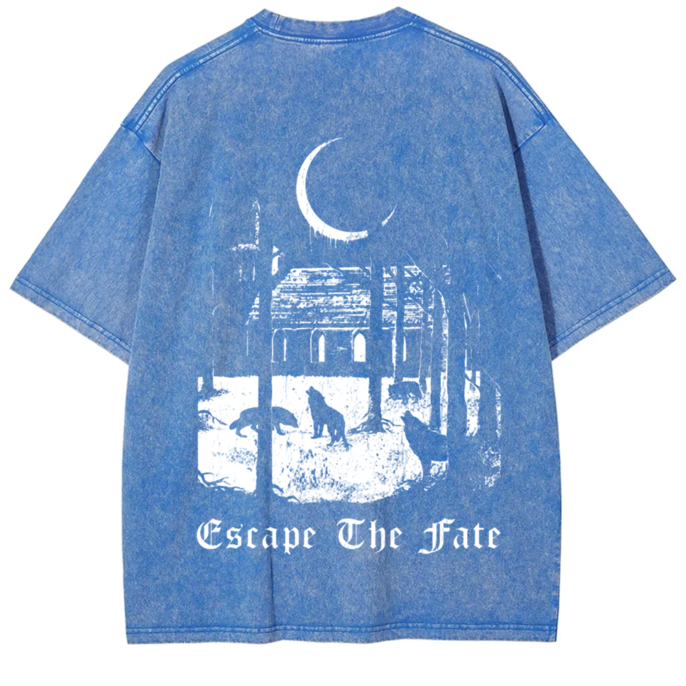 Unisex Vintage Escape the Fate Band t-Shirt