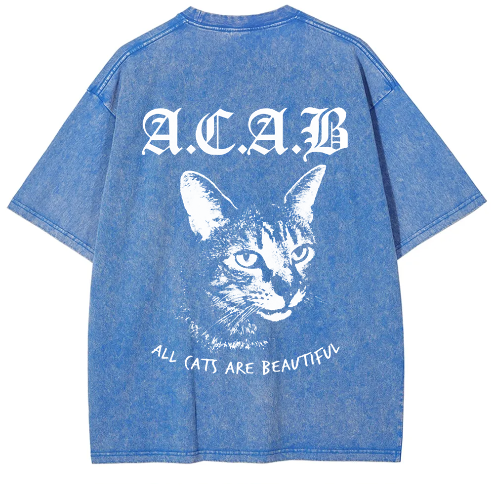 Unisex Vintage  All Cats Are Beautiful Song Music t-Shirt
