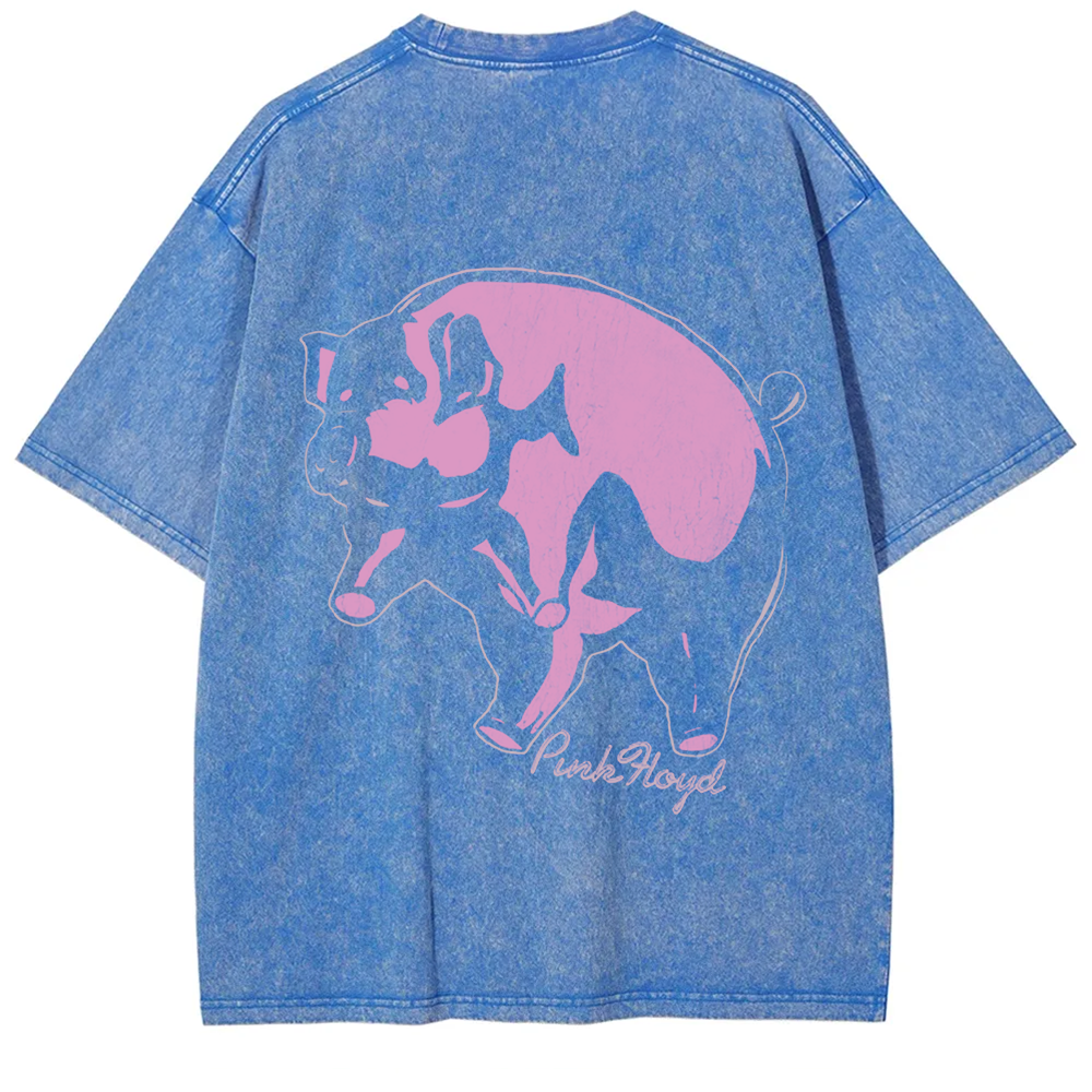 Unisex Vintage Pink Floyd Band t-Shirt