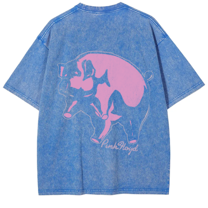 Unisex Vintage Pink Floyd Band t-Shirt