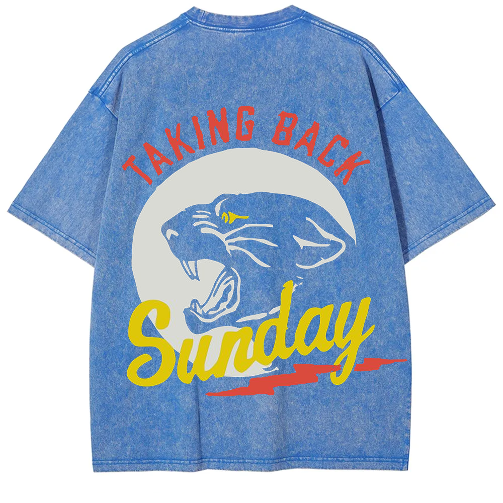 Unisex Vintage Washed Taking Back Sunday Band T-shirt
