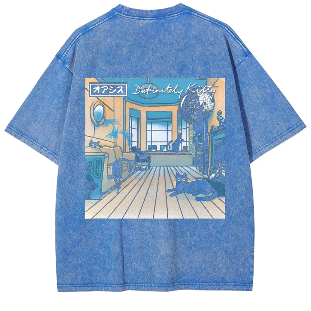 Unisex Vintage Washed Definitely Kitty t-Shirt