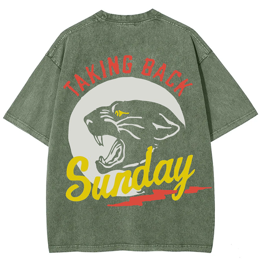 Unisex Vintage Washed Taking Back Sunday Band T-shirt