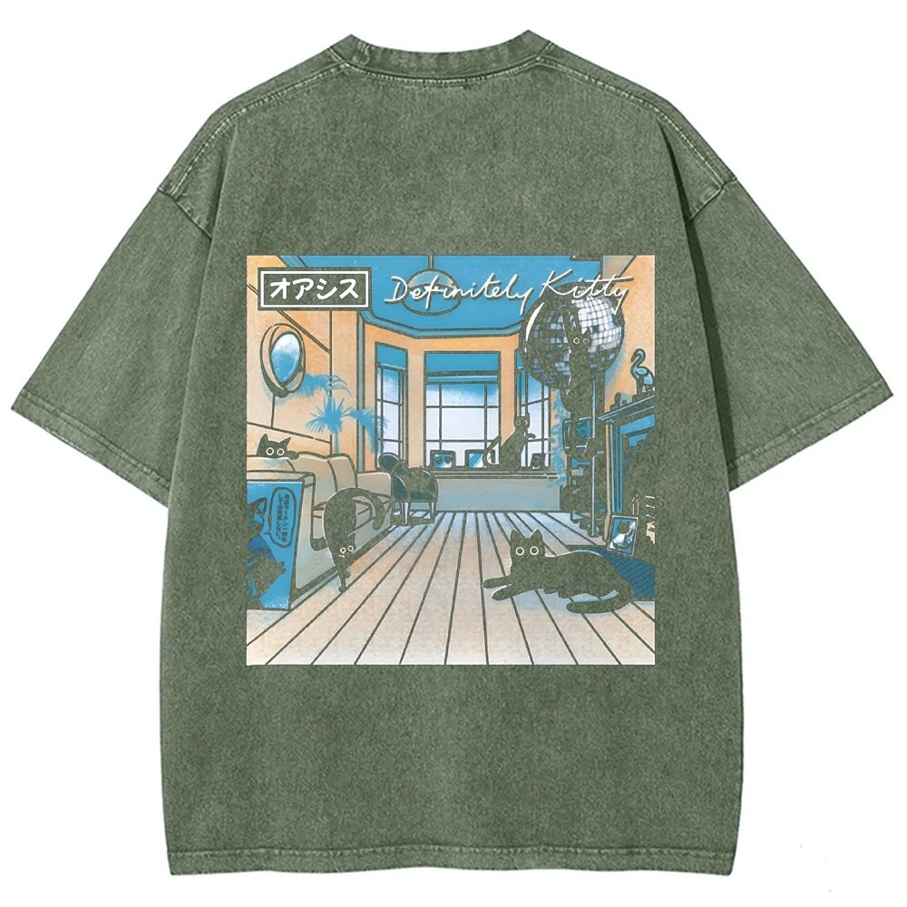 Unisex Vintage Washed Definitely Kitty t-Shirt