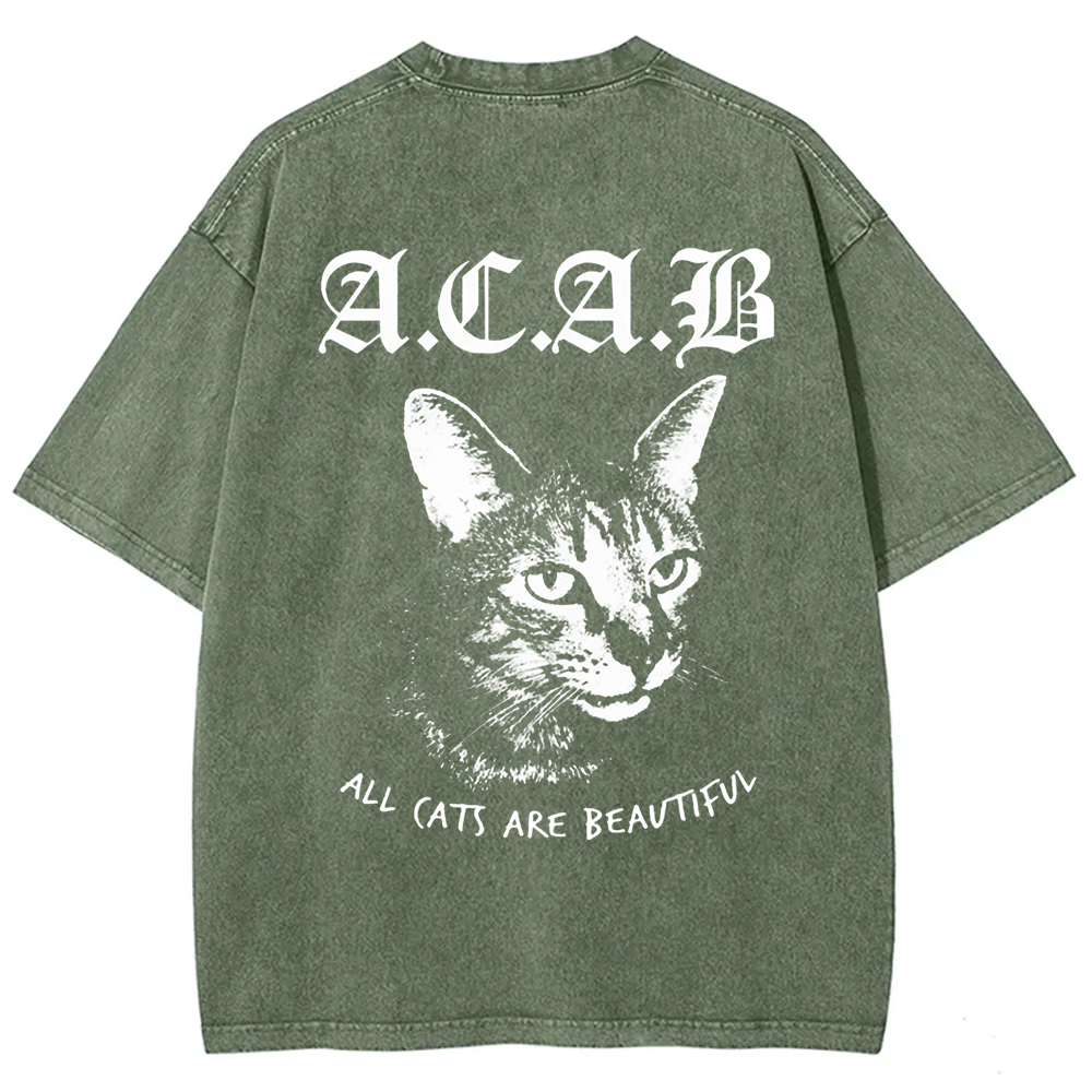 Unisex Vintage  All Cats Are Beautiful Song Music t-Shirt