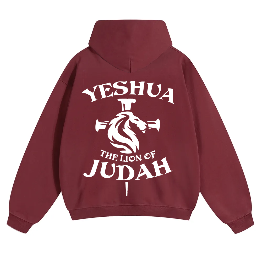Yeshua Unisex Solid Color Hoodie wearishow
