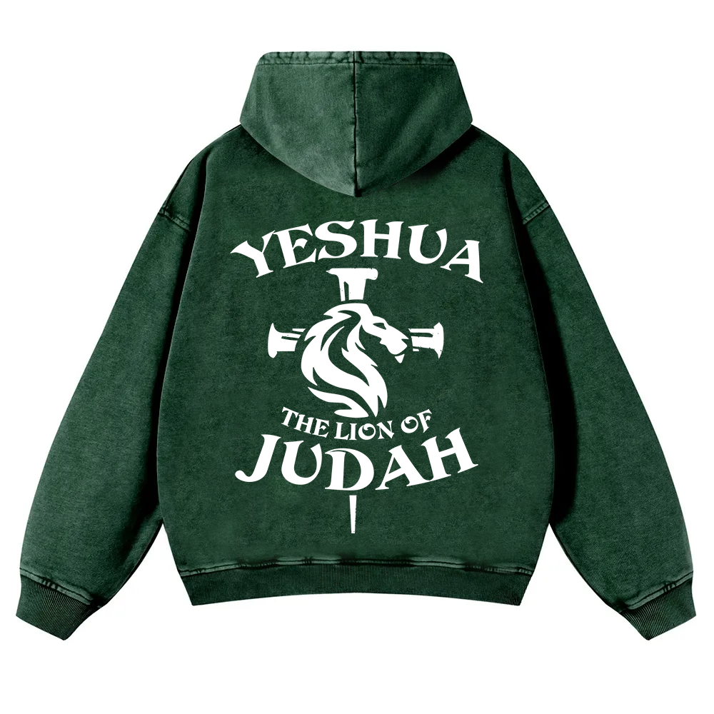 Yeshua Washed Hoodie wearishow