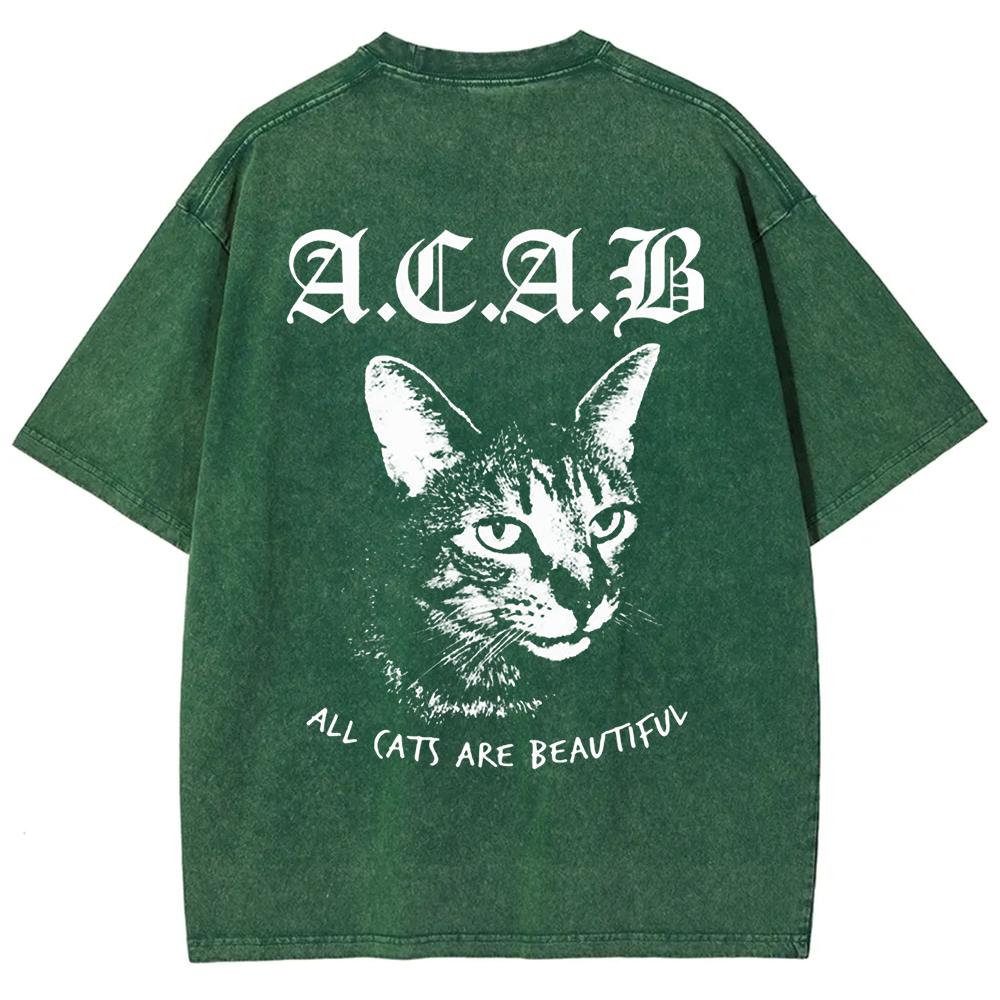 Unisex Vintage  All Cats Are Beautiful Song Music t-Shirt