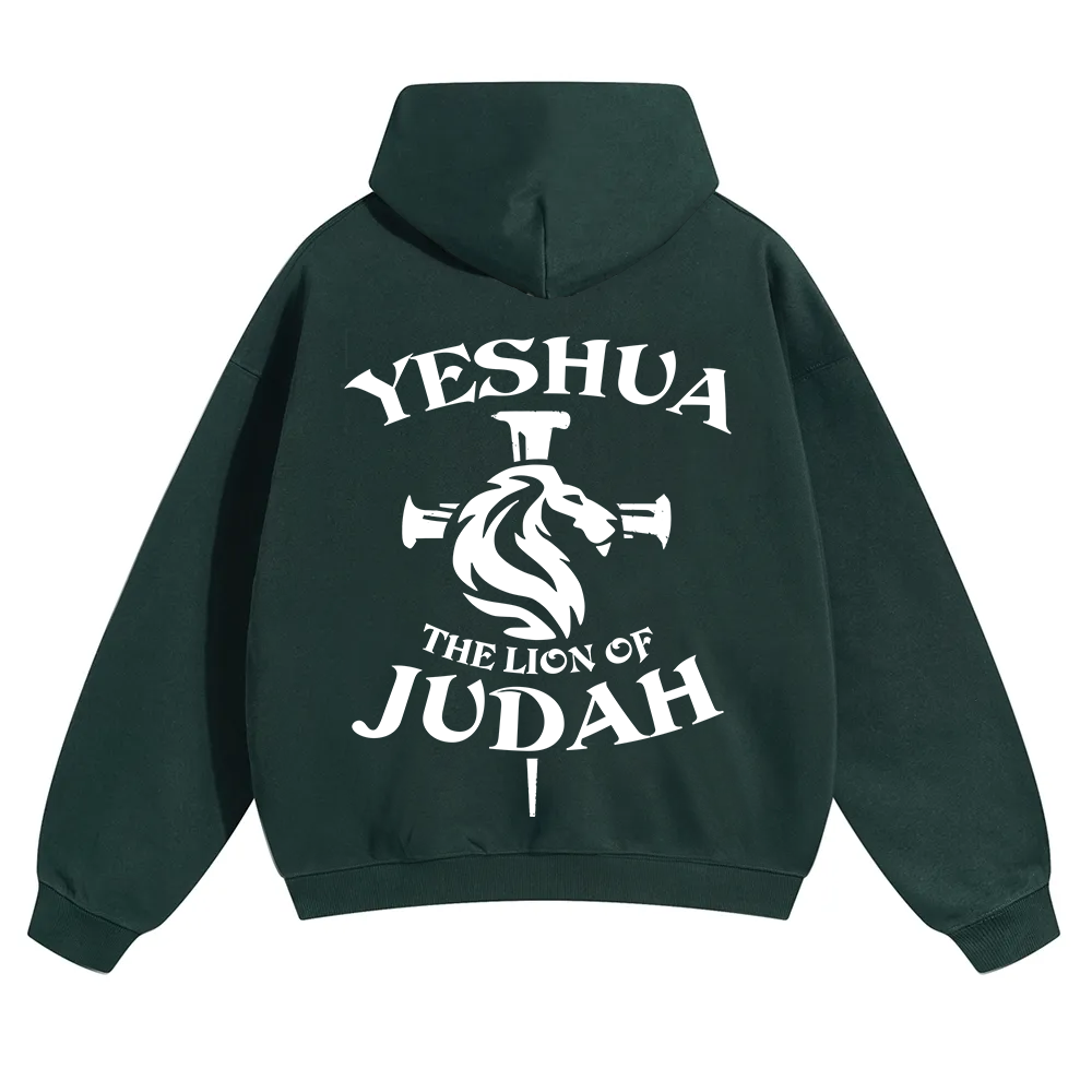 Yeshua Unisex Solid Color Hoodie wearishow
