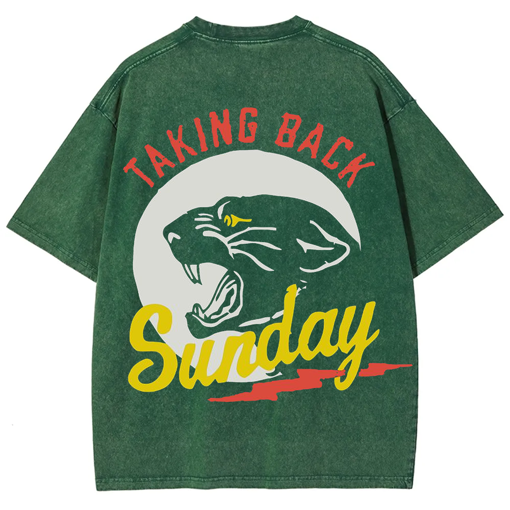 Unisex Vintage Washed Taking Back Sunday Band T-shirt