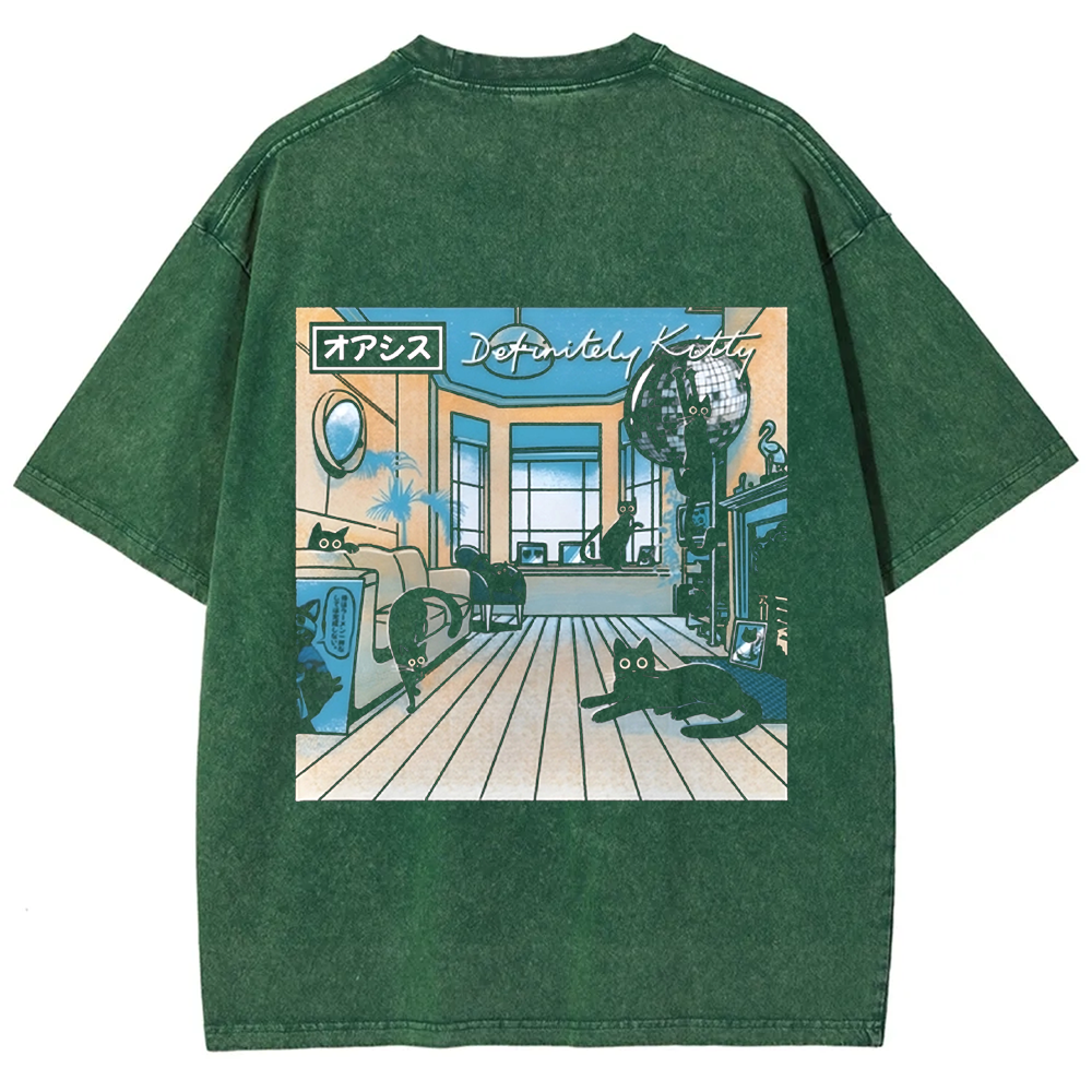 Unisex Vintage Washed Definitely Kitty t-Shirt