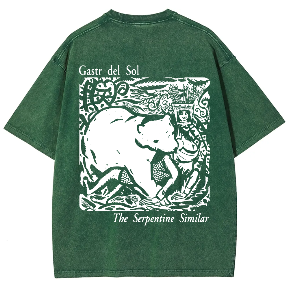 Unisex Vintage  Gastr del Sol Band  t-Shirt