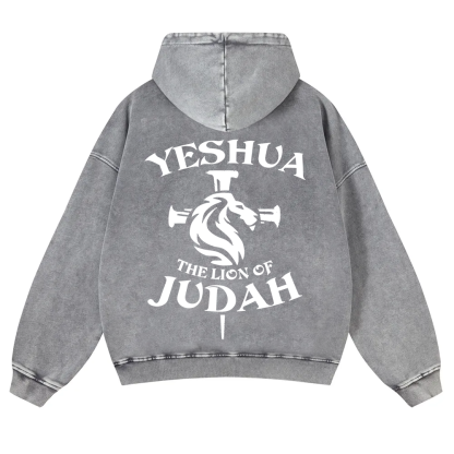 Yeshua Washed Hoodie wearishow