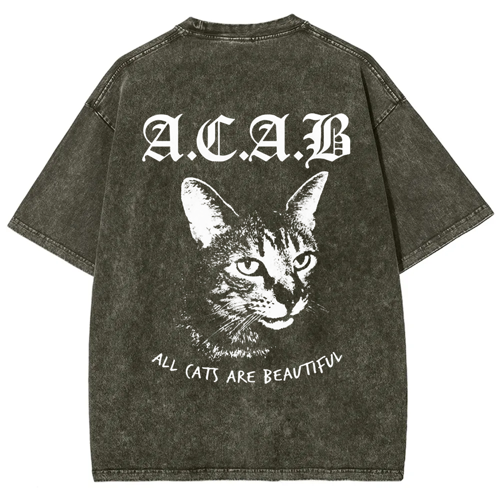Unisex Vintage  All Cats Are Beautiful Song Music t-Shirt