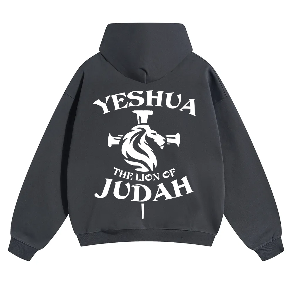 Yeshua Unisex Solid Color Hoodie wearishow