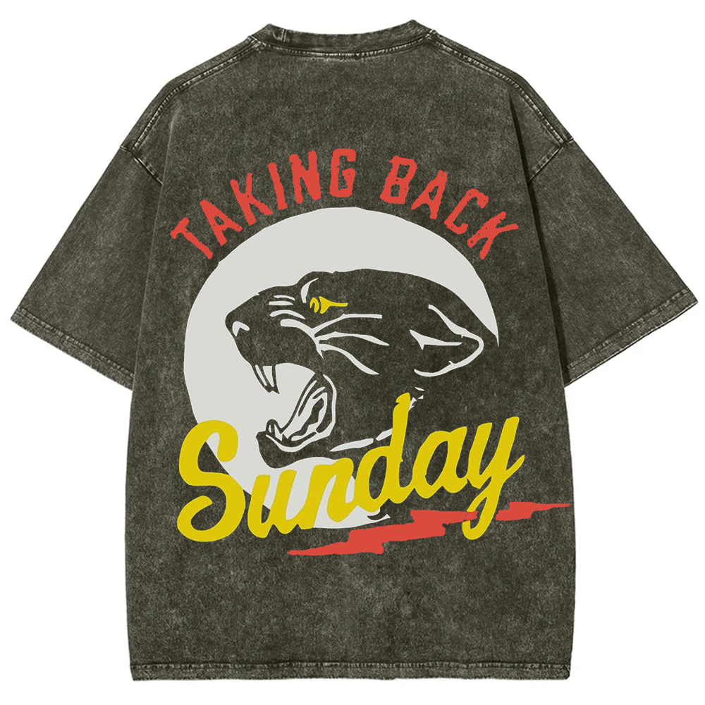Unisex Vintage Washed Taking Back Sunday Band T-shirt