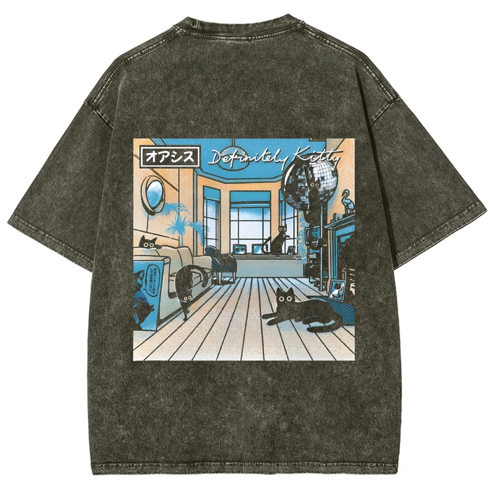 Unisex Vintage Washed Definitely Kitty t-Shirt