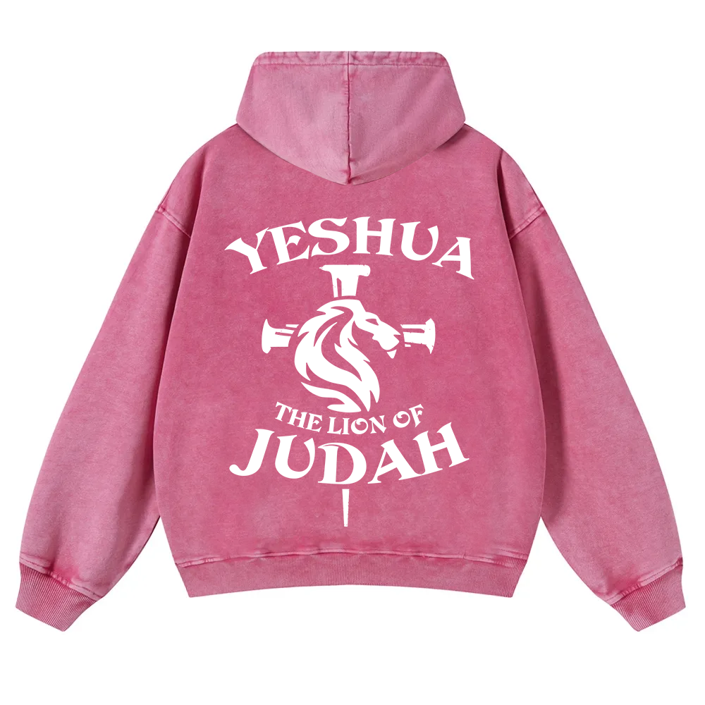Yeshua Washed Hoodie wearishow