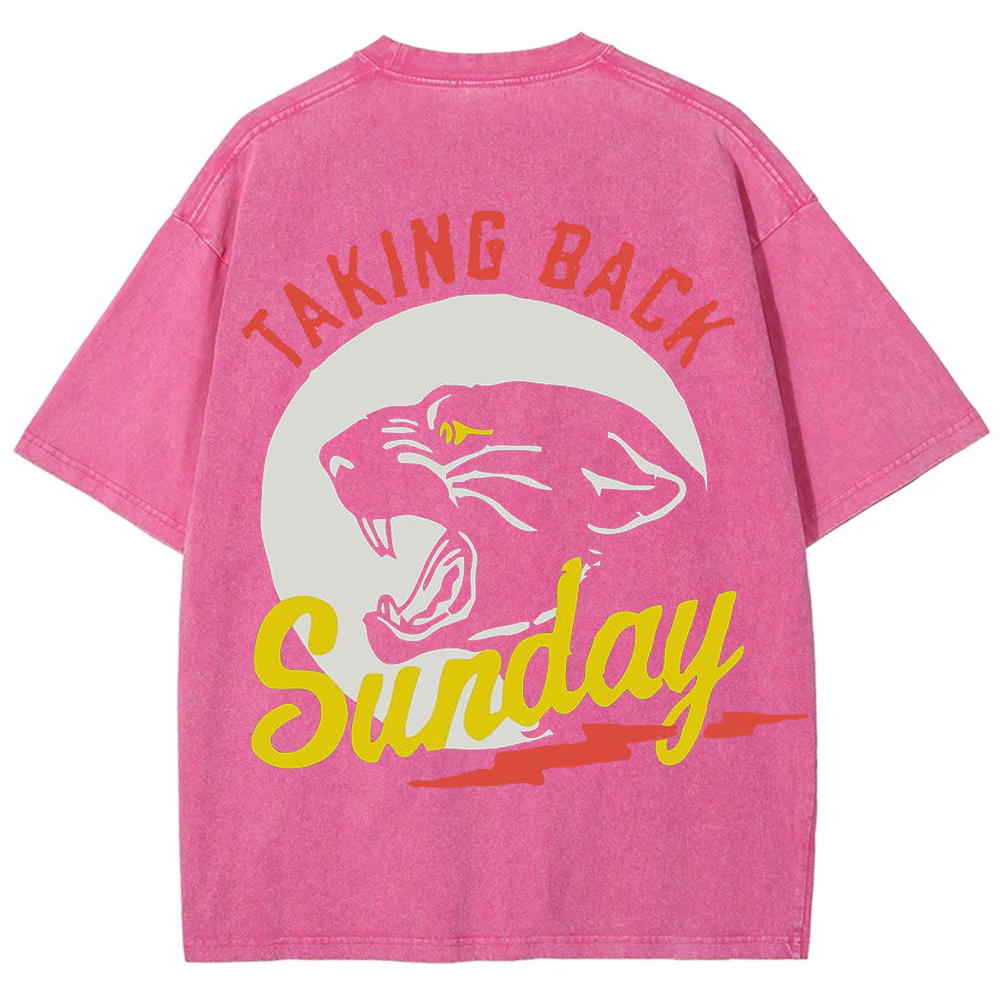Unisex Vintage Washed Taking Back Sunday Band T-shirt