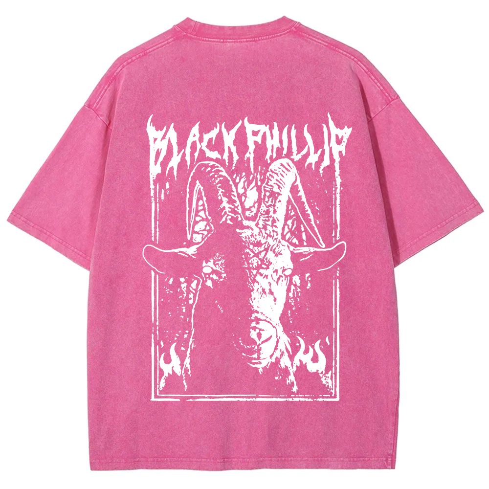 Unisex Vintage Washed The Witch Black Phillip T-Shirt
