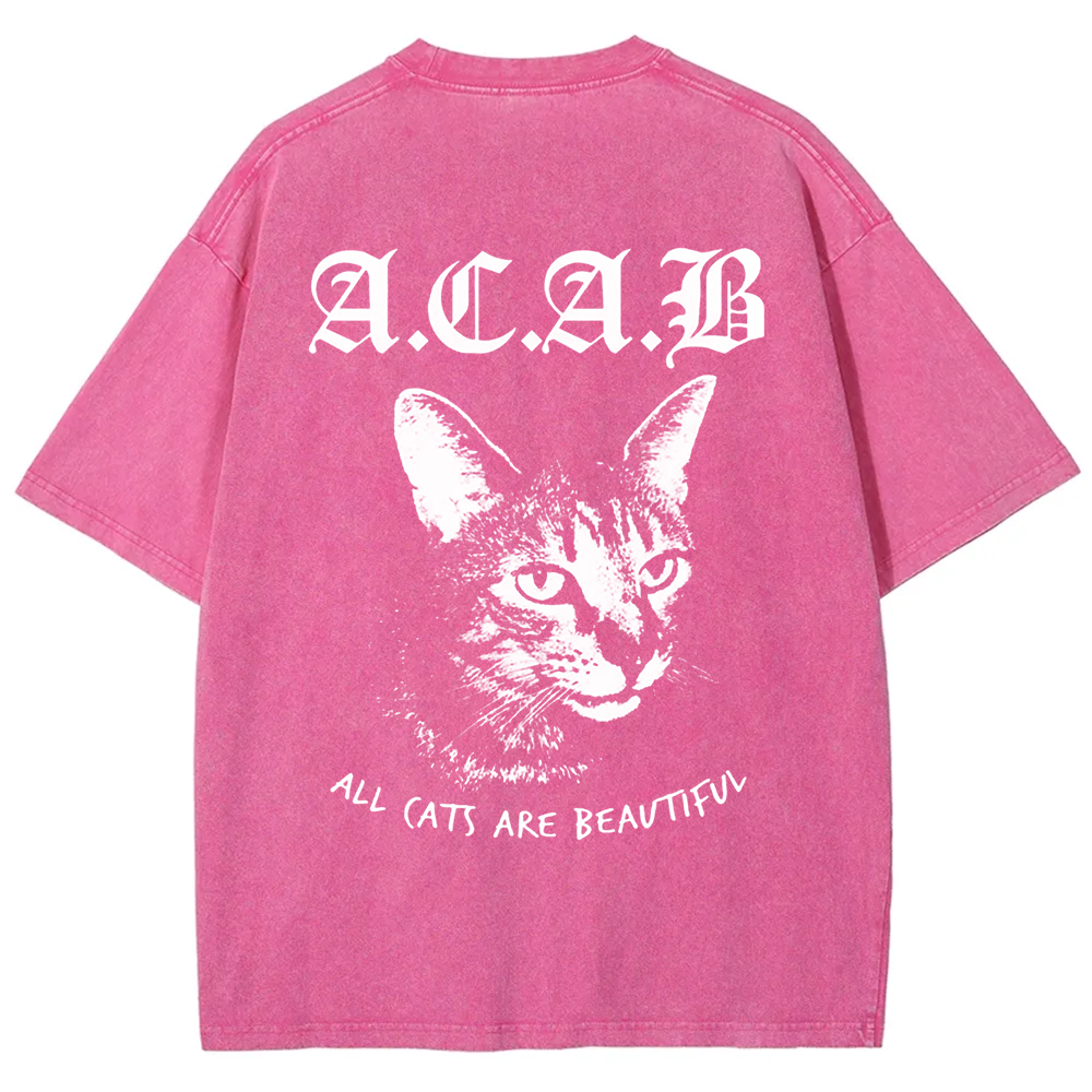 Unisex Vintage  All Cats Are Beautiful Song Music t-Shirt