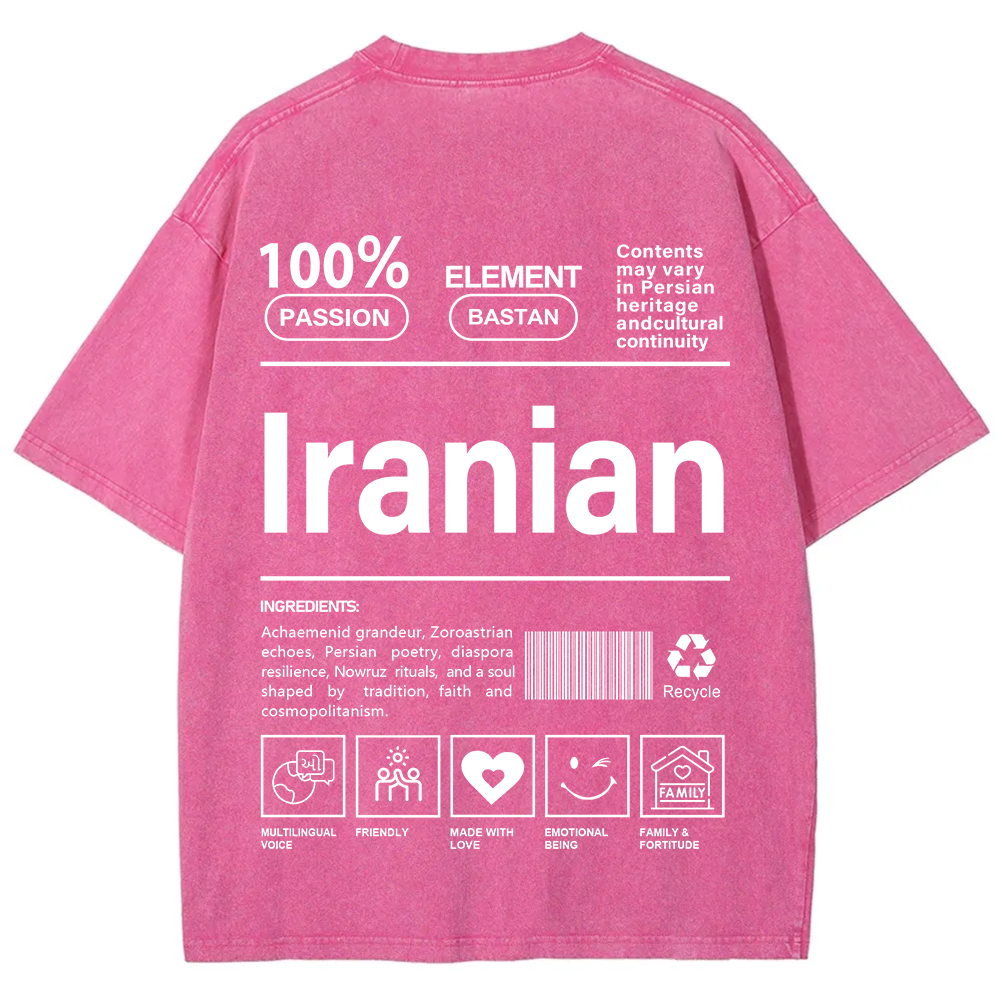Iranian Unisex Fit  Washed T-Shirt