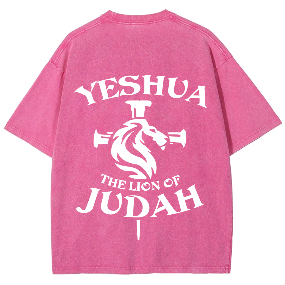 Yeshua Unisex Fit Washed T-Shirt