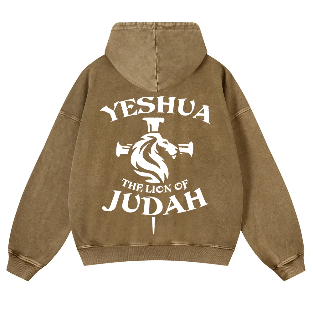 Yeshua Washed Hoodie wearishow