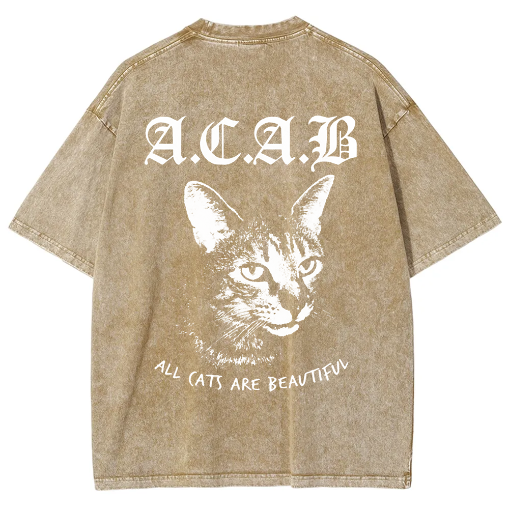 Unisex Vintage  All Cats Are Beautiful Song Music t-Shirt