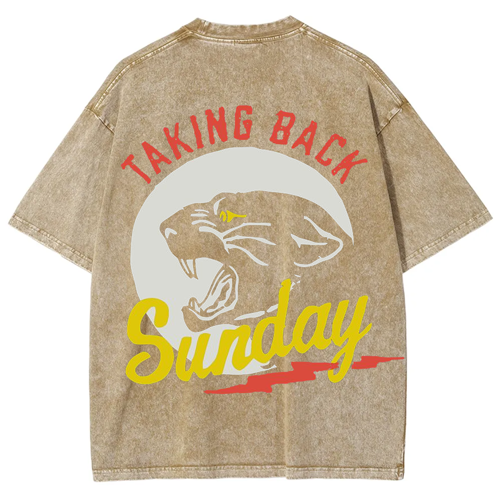 Unisex Vintage Washed Taking Back Sunday Band T-shirt