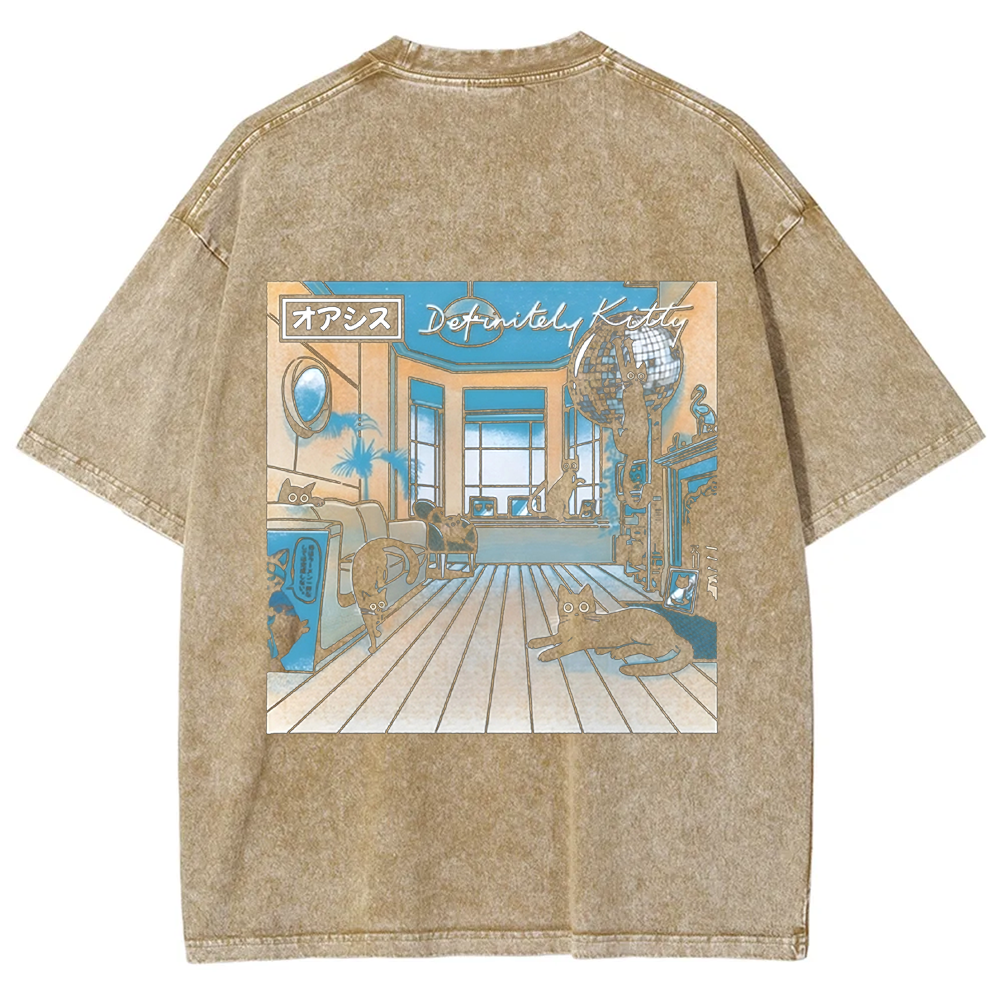Unisex Vintage Washed Definitely Kitty t-Shirt