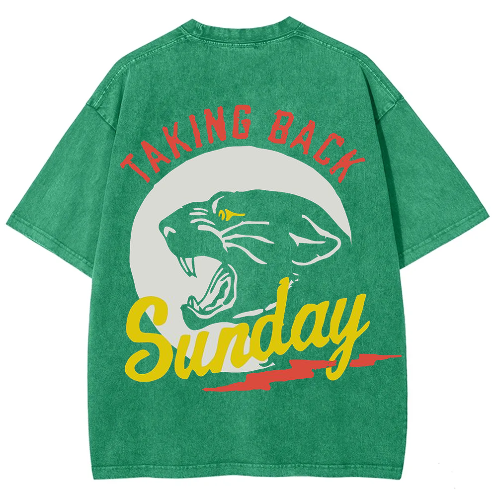 Unisex Vintage Washed Taking Back Sunday Band T-shirt