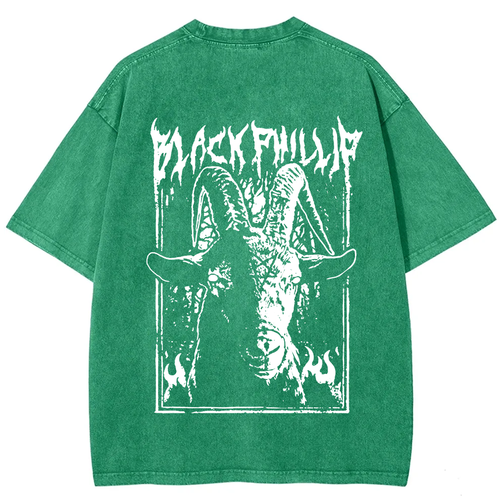 Unisex Vintage Washed The Witch Black Phillip T-Shirt