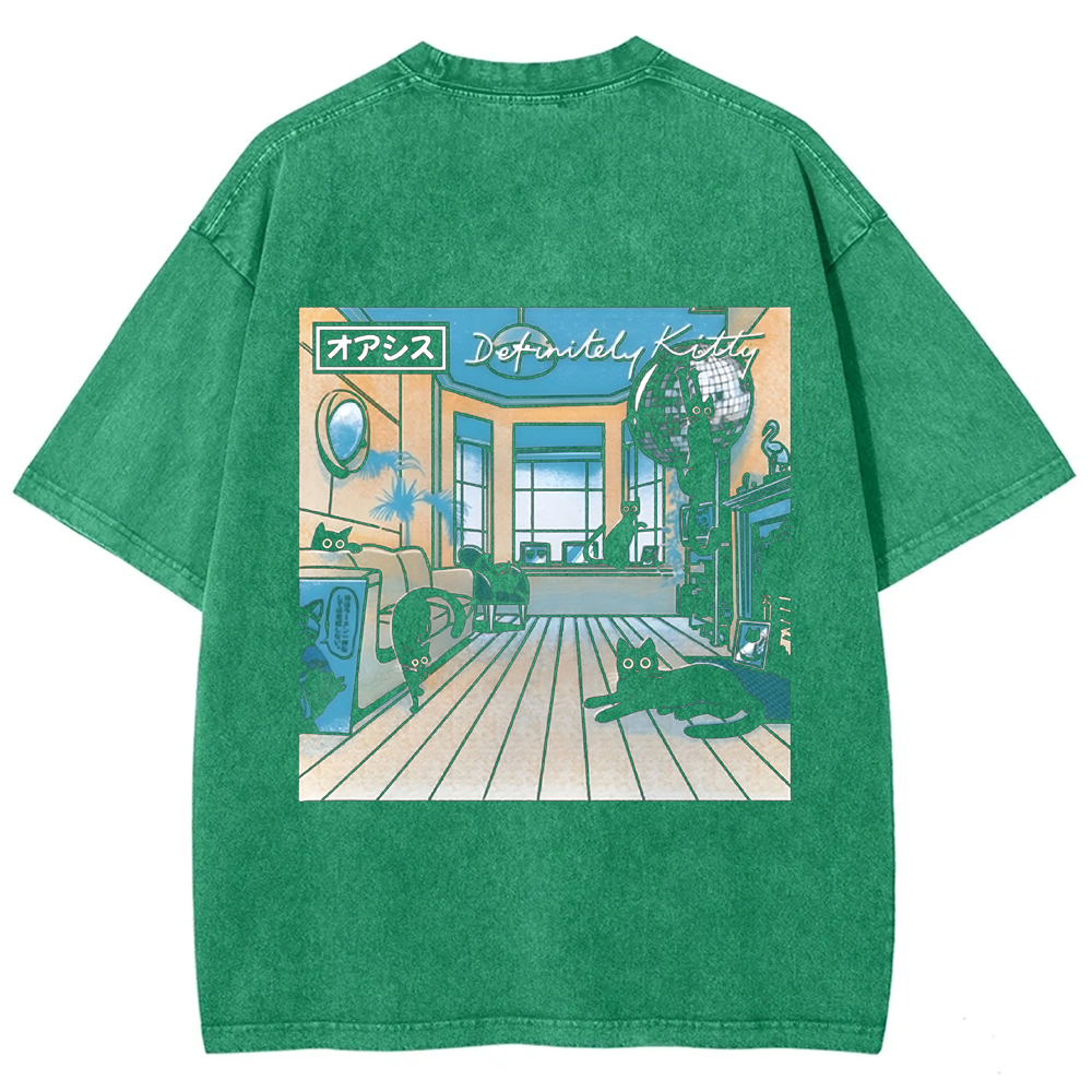 Unisex Vintage Washed Definitely Kitty t-Shirt