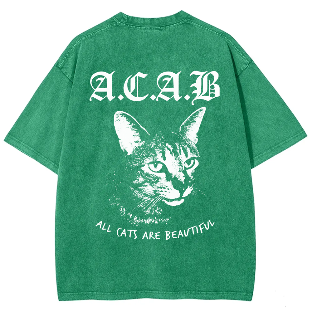 Unisex Vintage  All Cats Are Beautiful Song Music t-Shirt