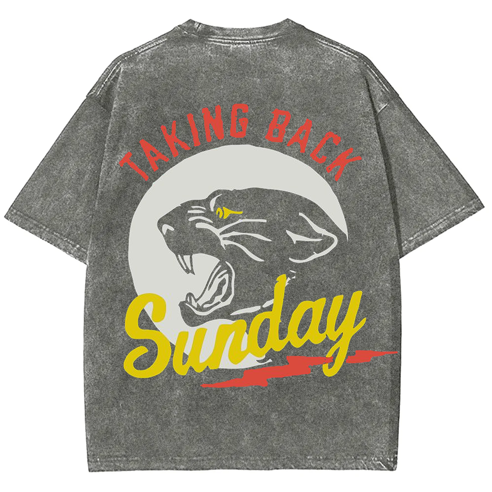 Unisex Vintage Washed Taking Back Sunday Band T-shirt