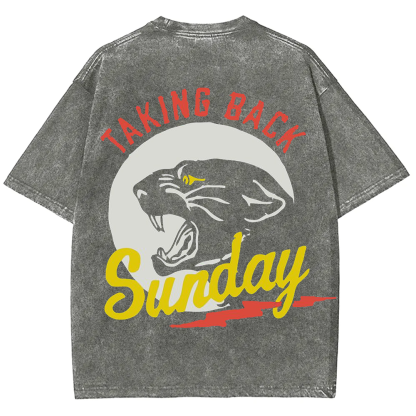 Unisex Vintage Washed Taking Back Sunday Band T-shirt