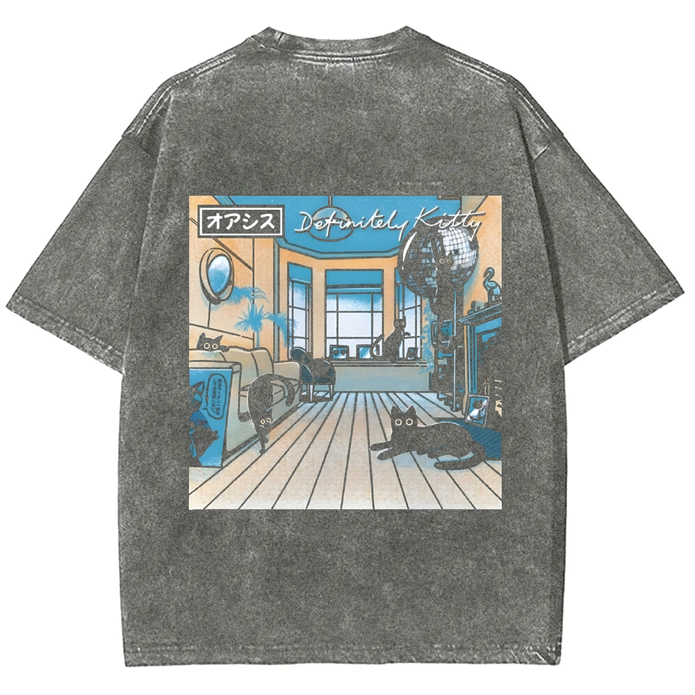 Unisex Vintage Washed Definitely Kitty t-Shirt