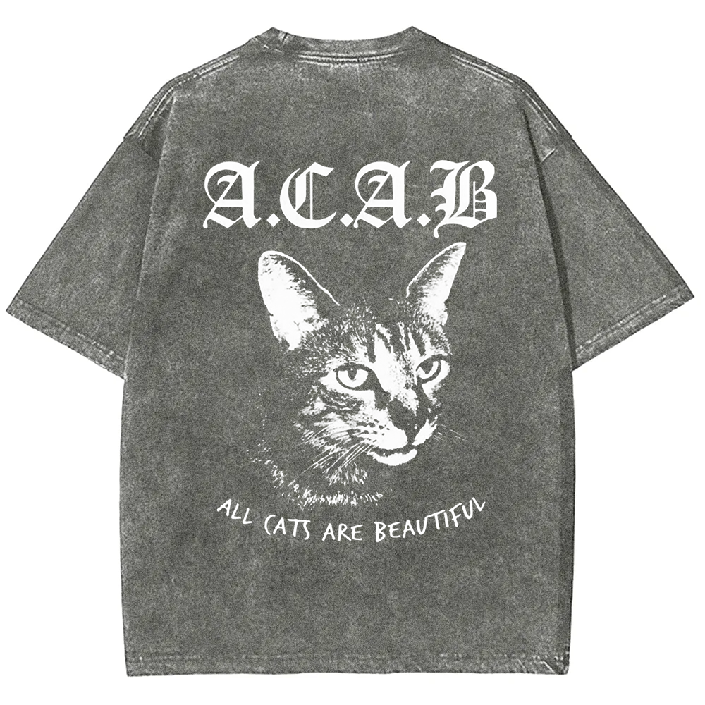 Unisex Vintage  All Cats Are Beautiful Song Music t-Shirt