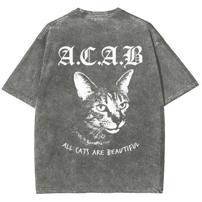 Unisex Vintage  All Cats Are Beautiful Song Music t-Shirt