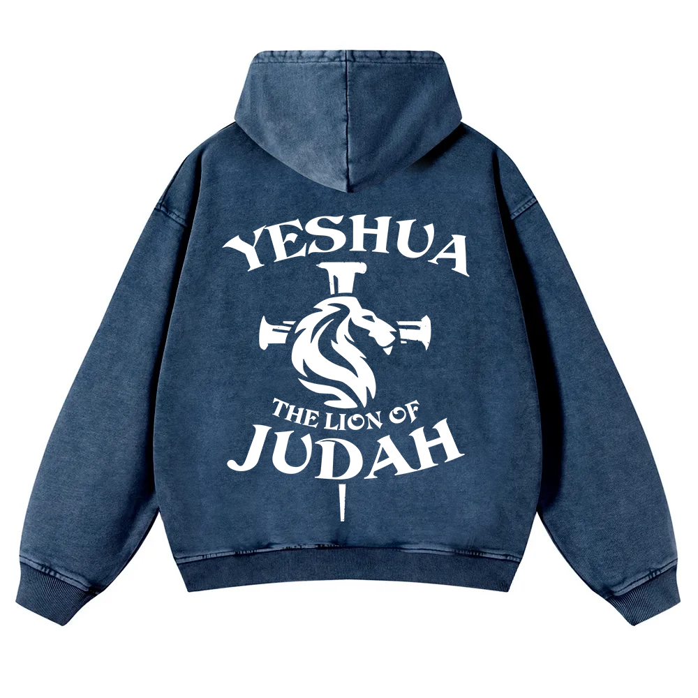 Yeshua Washed Hoodie wearishow
