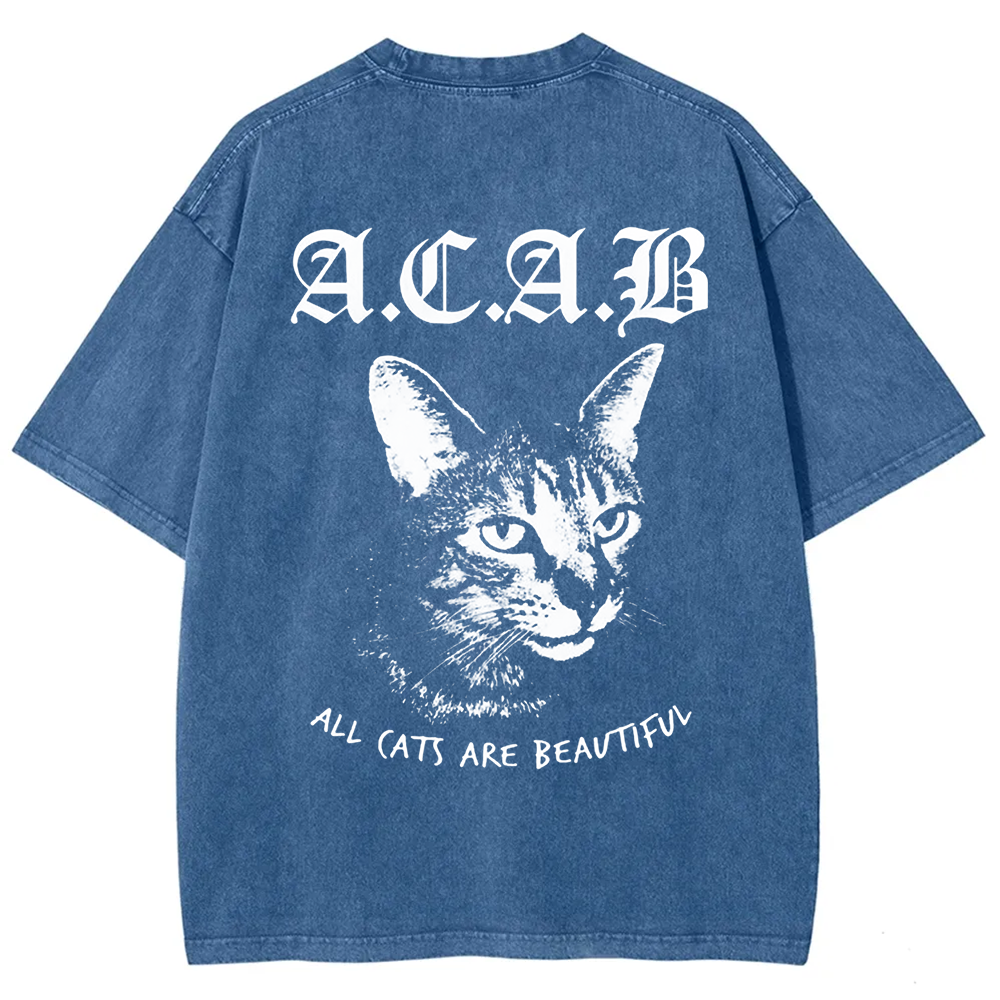 Unisex Vintage  All Cats Are Beautiful Song Music t-Shirt